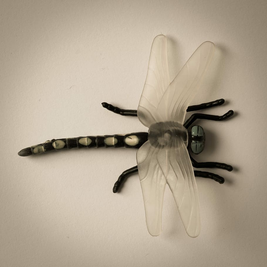 Dragonfly, Plast, Bug, Toy, directly above, studio shot, no people HD wallpaper