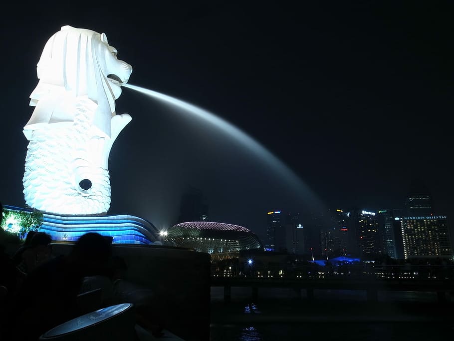 Lion statue, Singapore photo, night, famous Place, architecture HD wallpaper