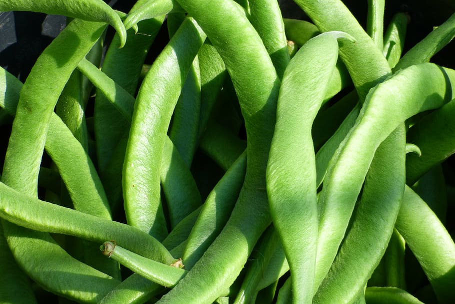 closeup view of peas, runner beans, vegetable, food, healthy, HD wallpaper