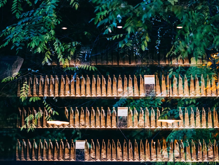 Coffee Shop, metal fence beside tree wallpaper, bag, window, shelf HD wallpaper