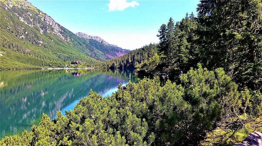morskie oko, mountains, lake, tree, plant, water, scenics - nature, HD wallpaper