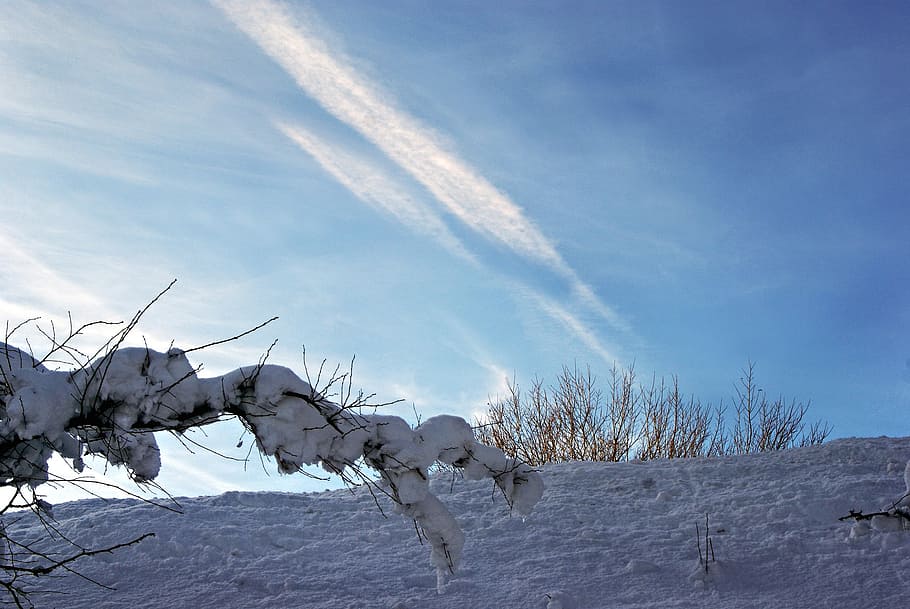 construction pole, branch, sky, snow, snow magic, wintry, winter dream HD wallpaper