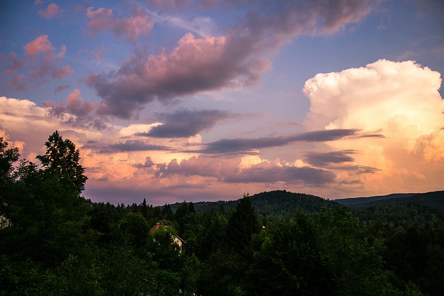 clouds, impressive, forest, sky, nature, landscape, view, outdoor HD wallpaper