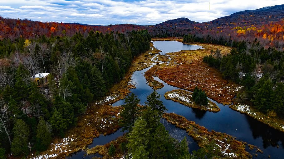 aerial photo of lake near the green tress at daytime, canada HD wallpaper
