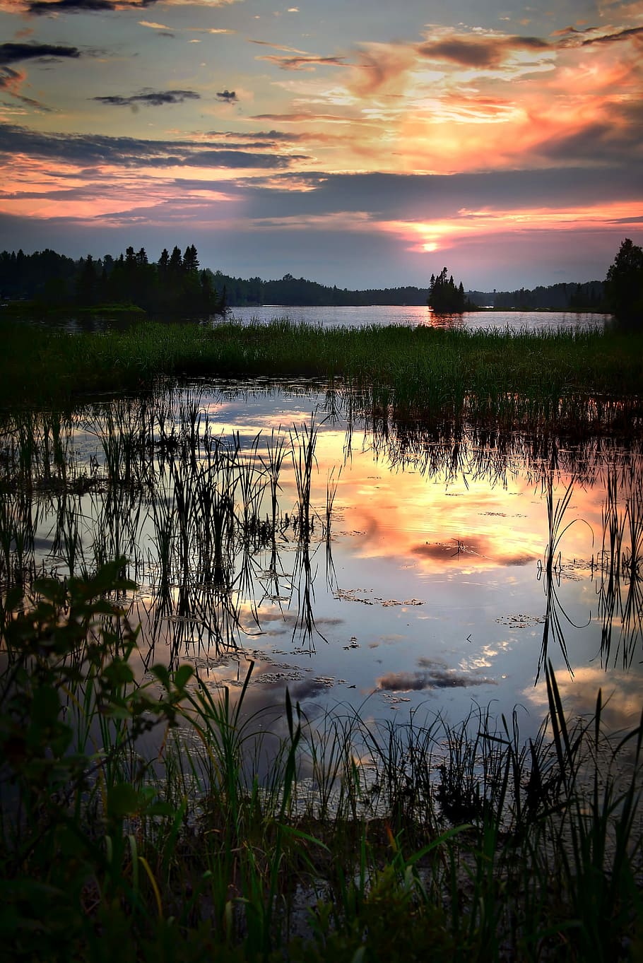 Sunset, Twilight, Reflections, sky, colors, lake, trees, evening HD wallpaper