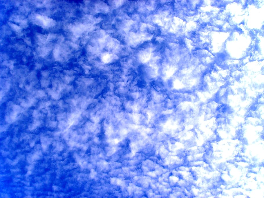 sky, white cloud, pure, light, day, cloud - sky, blue, backgrounds HD wallpaper