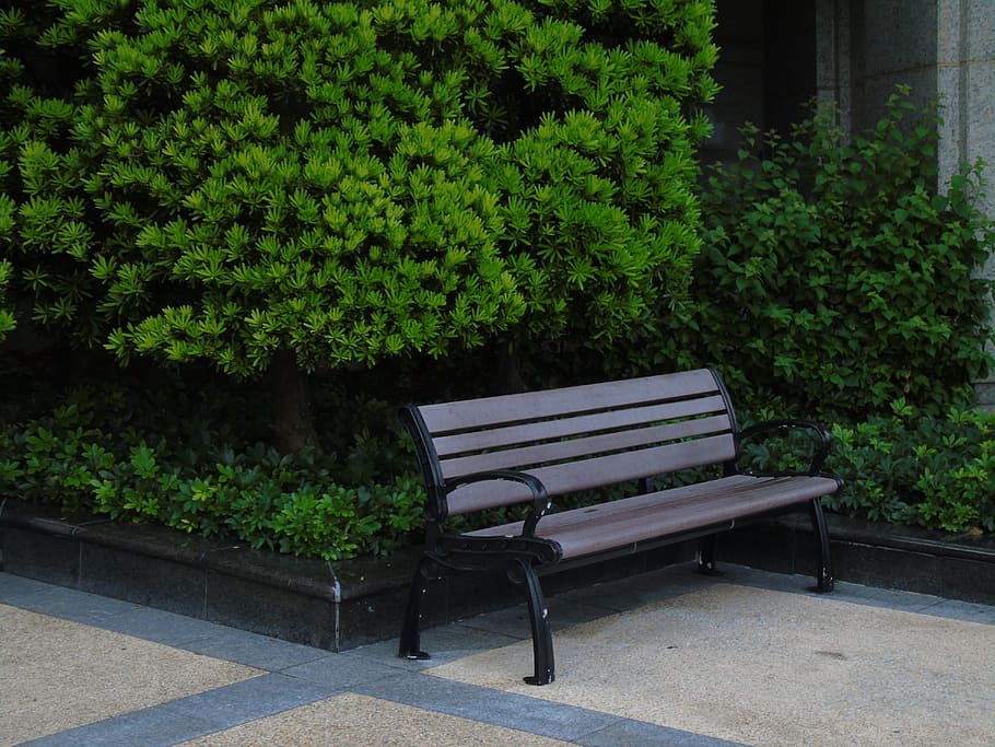 thinking, alone, chair, missing, seat, plant, bench, growth HD wallpaper
