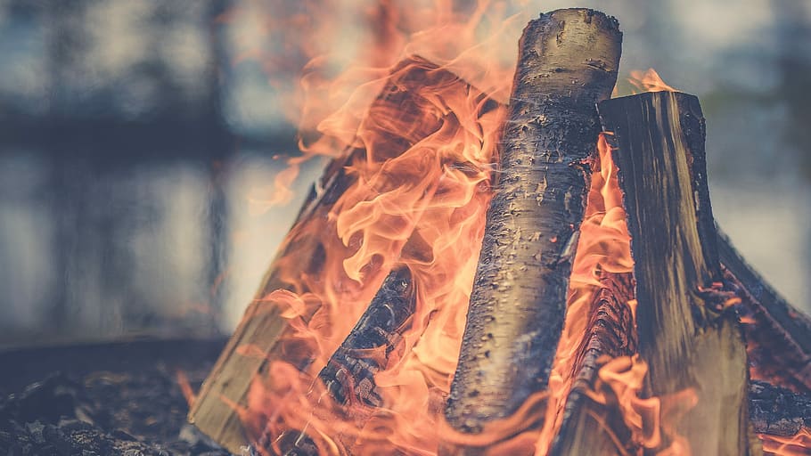 focus photography of firewood burning at daytime, macro shot of bonfire HD wallpaper
