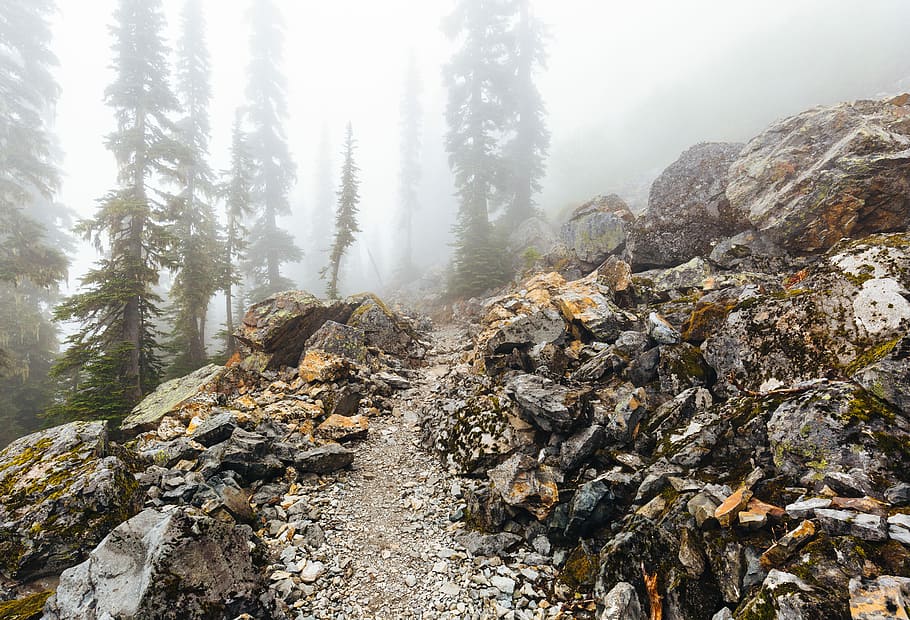 gray and brown rock underneath fogs, trail, path, nature, mountain HD wallpaper