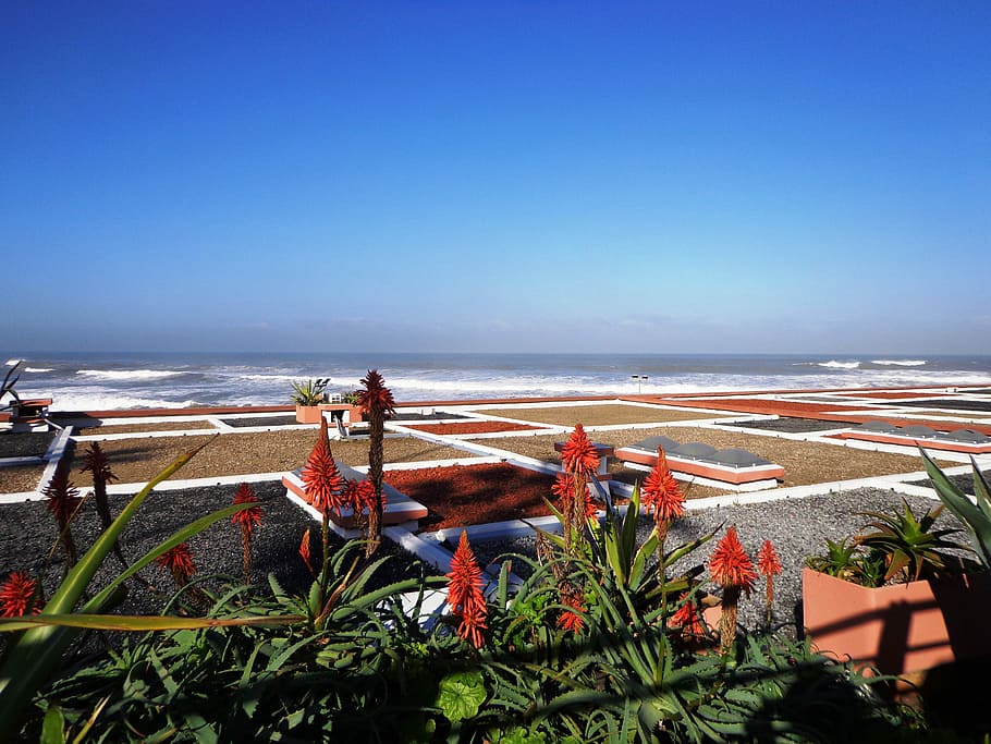 Ocean, Sea, View, Morocco, storm, costa, beach, clear sky, horizon over water HD wallpaper