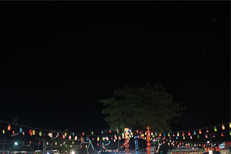 string lights, lanterns, dark, night, illuminated, tree, group of people HD wallpaper