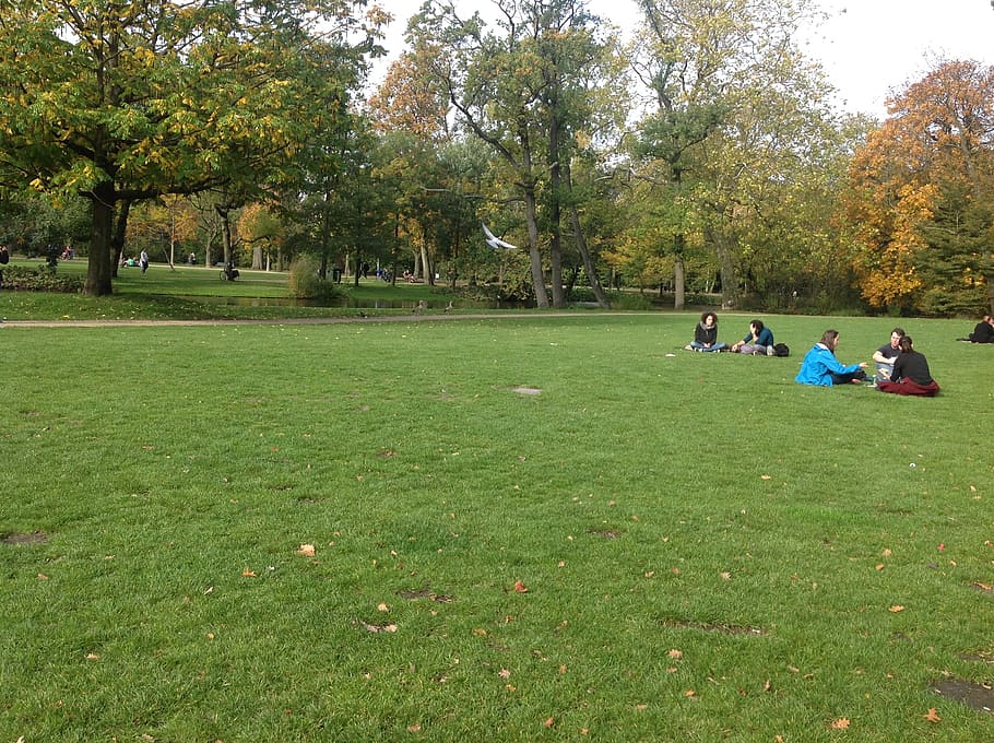 park, green, amsterdam, trees, nature, walk, europe, plant HD wallpaper