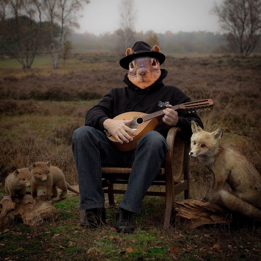 man playing guitar outdoor with three red foces, squirrel, animal HD wallpaper