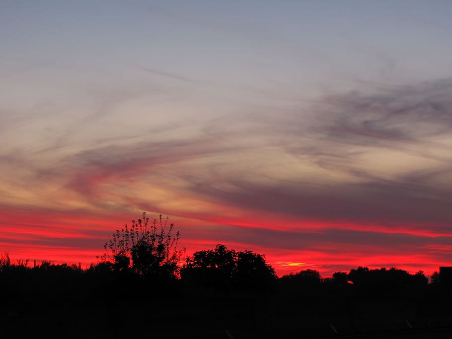Sunset, Twilight, Lighting, Silhouette, nature, dusk, sky, orange Color HD wallpaper