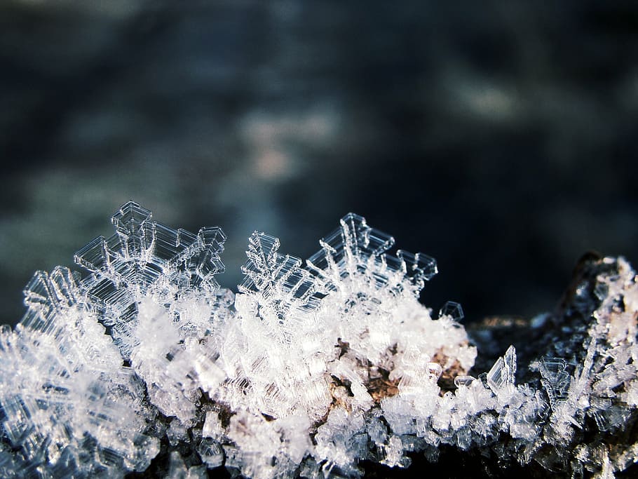 close-up photo of snowflake, crystals, ice, winter, frost, leaves HD wallpaper