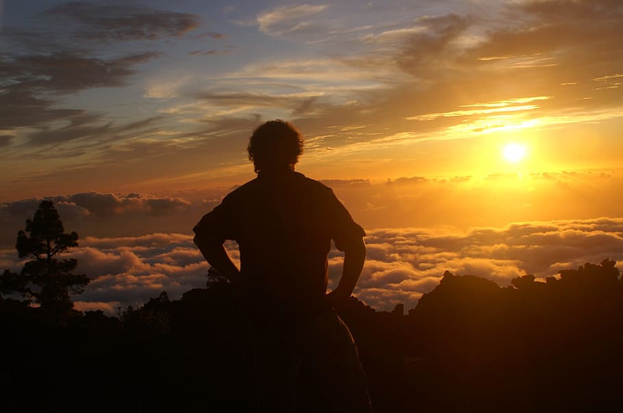 silhouette of man during golden hour, Sunset, Man, Observer HD wallpaper