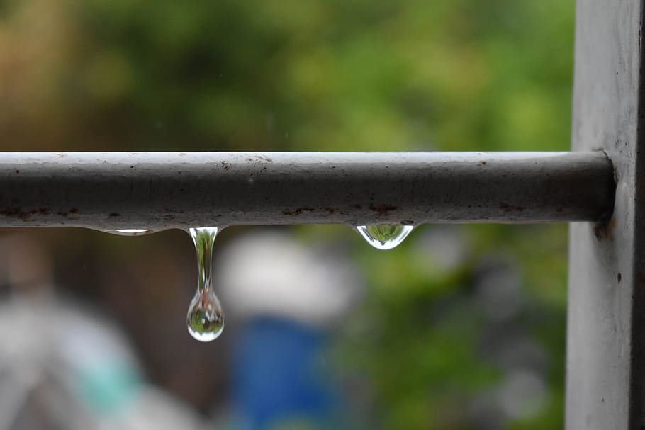 drop, nature, green, rain, wet, window, water, focus on foreground HD wallpaper