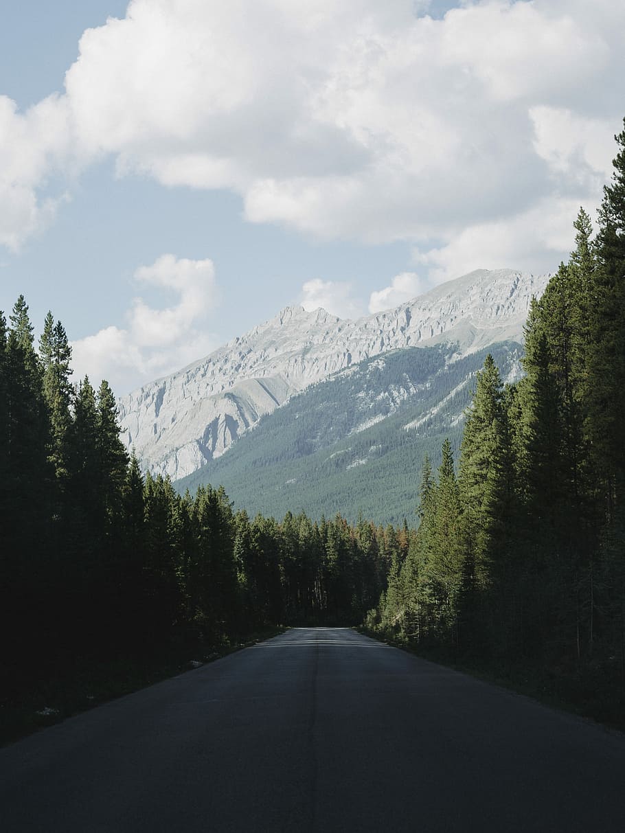 Hd Wallpaper Empty Road Between Forest With Mountain View Gray