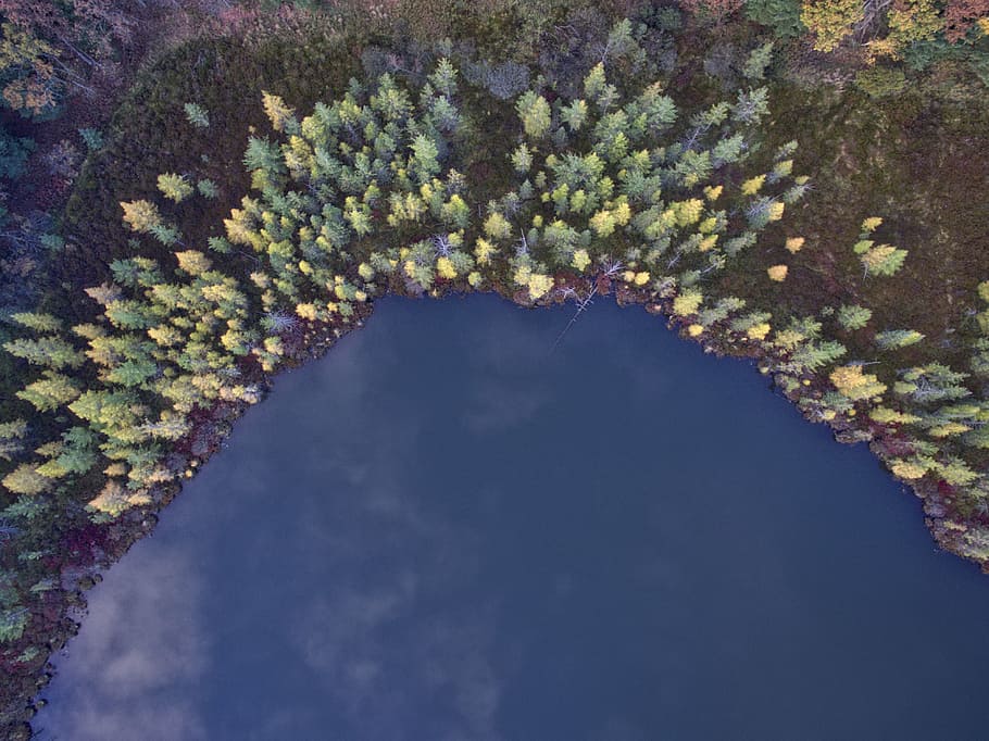 aerial photography of body of water near trees, clolorful, view HD wallpaper