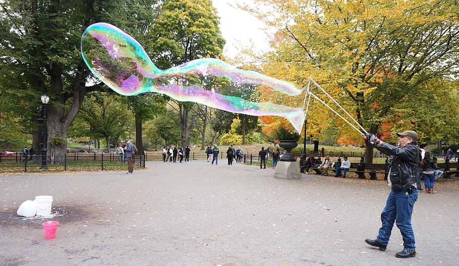 man making balloon in park, Soap Bubble, Artist, America, Usa, HD wallpaper