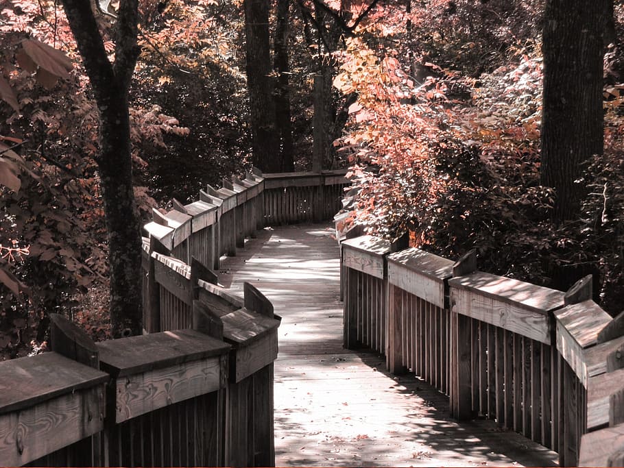 photo of gray wooden bridge between trees, overlay, nature HD wallpaper