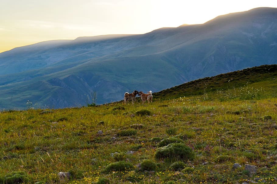 turkey, nature, landscape, kaçkars, natural turkey, landscapes nature HD wallpaper