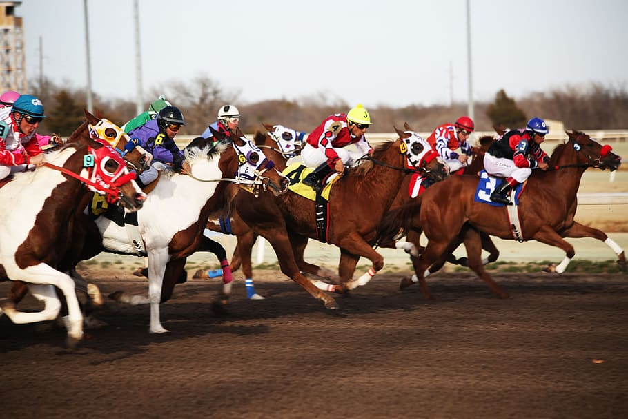 photography of horse race, horses, horse racing, racetrack, jockey, HD wallpaper