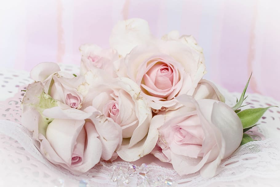Wedding rose flowers, various, bouquet, rose - Flower, pink Color