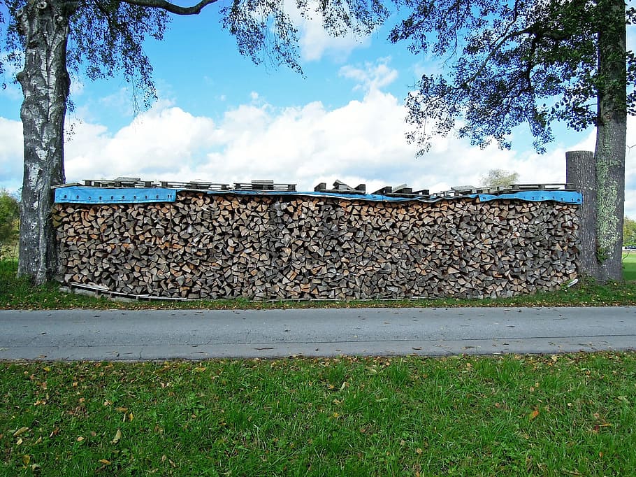 wood, firewood, stacked, tree wood, layer, shock, trees, stacked up HD wallpaper