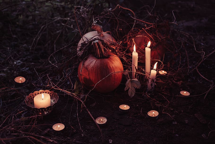 pumpkin between lighted candles, lighted tealight and taper candles surrounded the pumpkin and dried vines