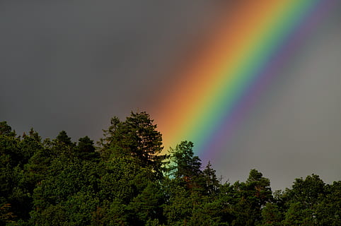 untitled, rainbow, sky, mood, landscape, color, double rainbow HD wallpaper