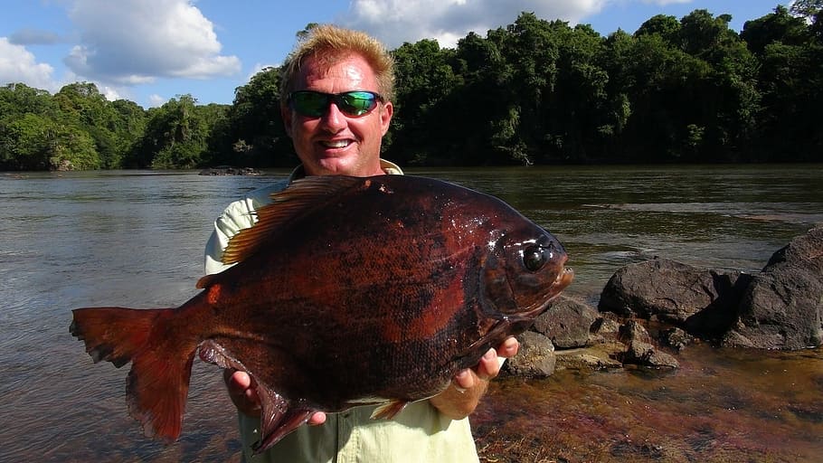 Fishing, Pacu, Hobby, guyanna, big fish, sunglasses, one man only HD wallpaper