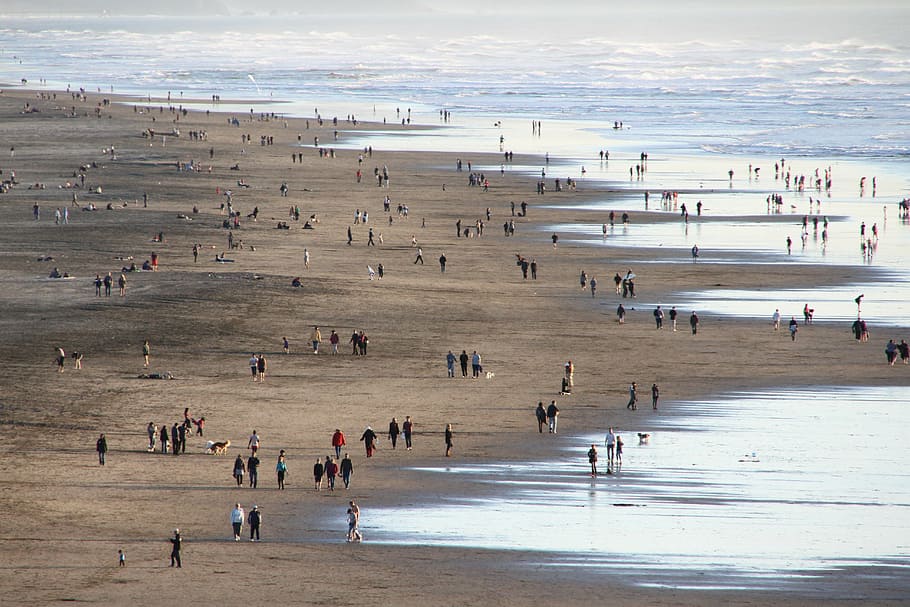 ocean beach, san francisco, people, sea, sand, crowd, california, HD wallpaper