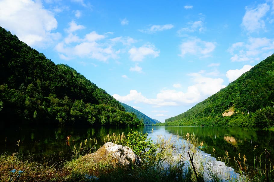 romania, sibiu, village, lake, tree, forest, grass, river, reflection