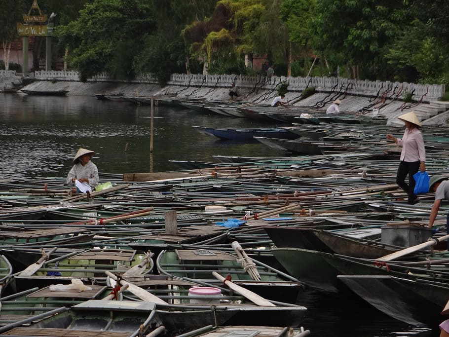 vietnam, travel, asia, ninh, binh, tam, coc, water, river, environment, HD wallpaper