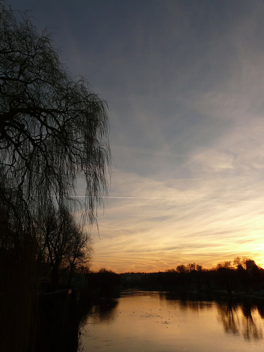 landscape, nature, tree, pasture, water, river, abendstimmung HD wallpaper