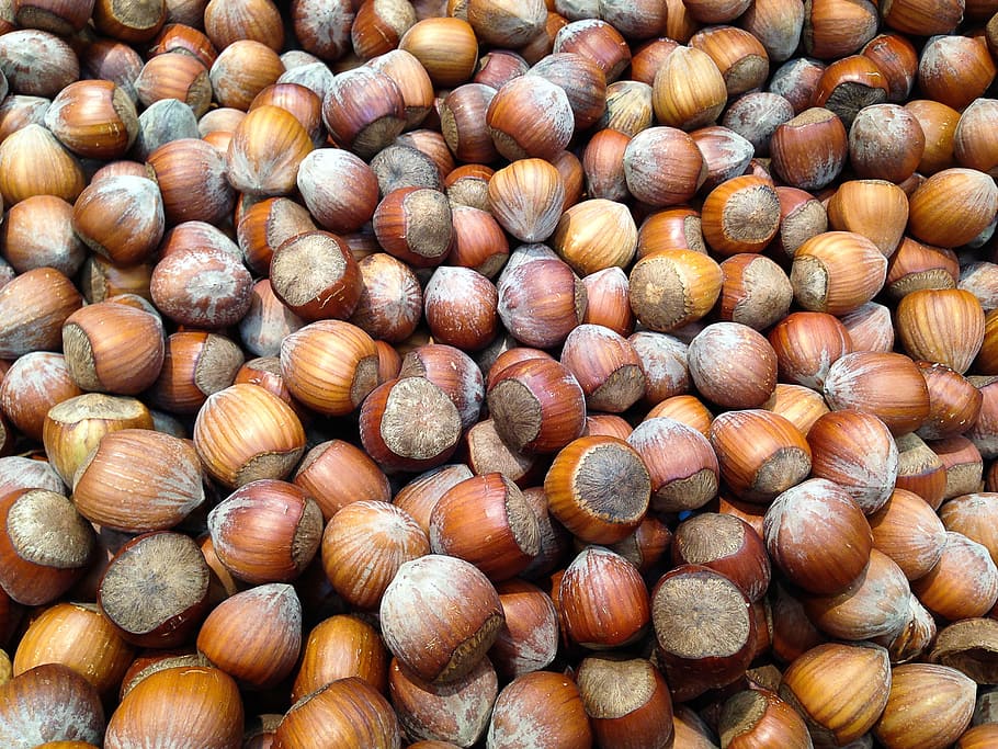 Hazelnuts, Dried Fruit, food, brown, nut - Food, close-up, nature HD wallpaper