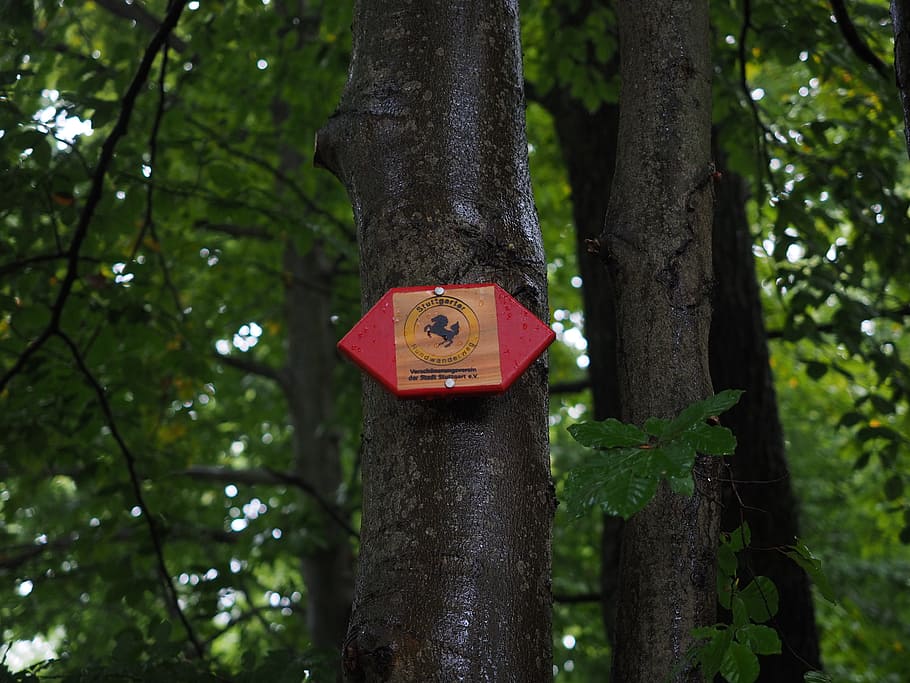 Shield, Trail, Signs, Signpost, migratory character, rössleweg HD wallpaper