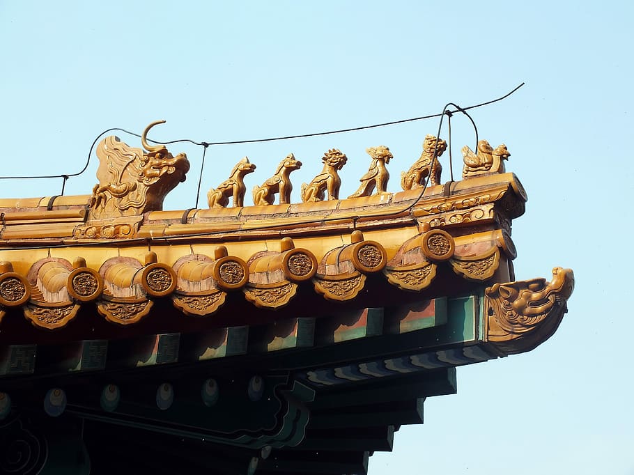 Beijing, Imperial Palace, China, world heritage, asia, dragons, HD wallpaper