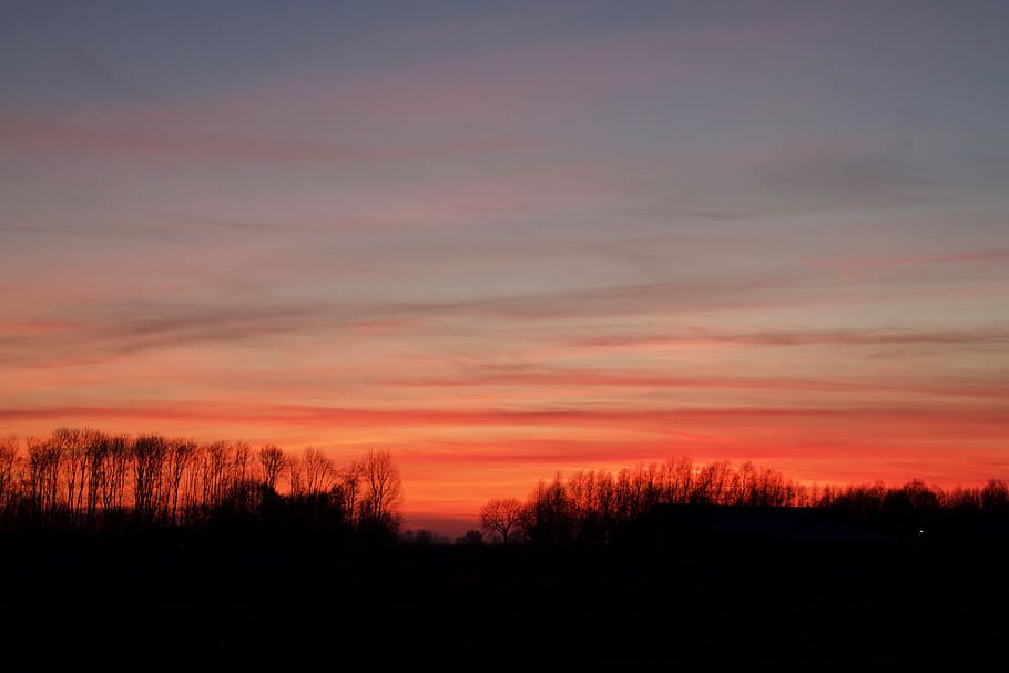 Sunset, Evening, Horizon, Sky, evening sky, evening sun, setting sun HD wallpaper