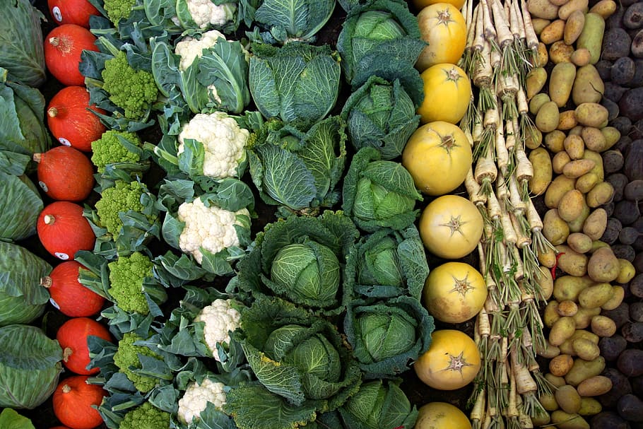 assorted vegetable lot, vegetables, cauliflower, cabbage, pumpkin HD wallpaper