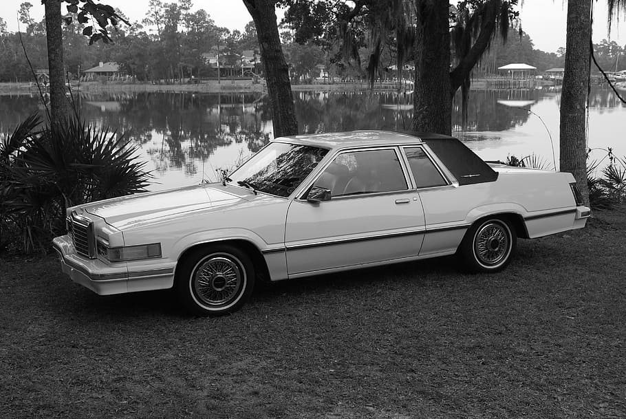 thunderbird, auto, ford, automobile, car, transportation, mode of transportation HD wallpaper