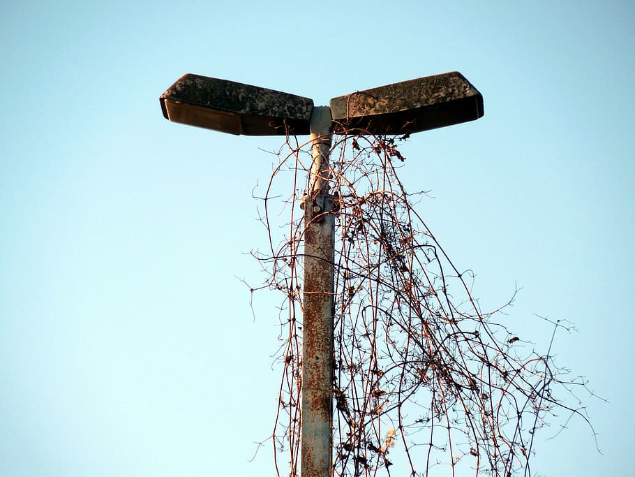 lamp, lighting, old, weathered, stainless, past, low angle view HD wallpaper