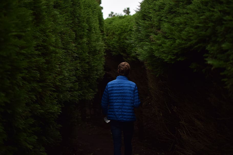 people, guy, alone, walking, green, trees, plant, nature, real people HD wallpaper