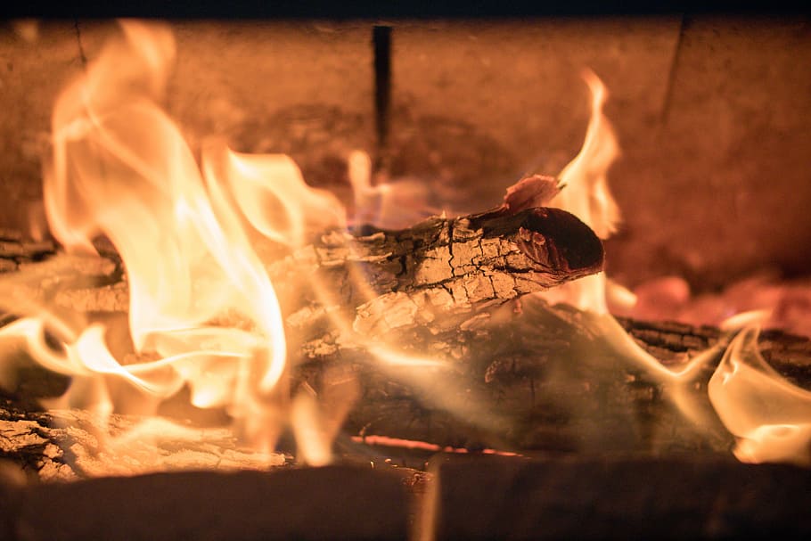 focus photography of wood burning, burning wood, flame, log, fireplace HD wallpaper