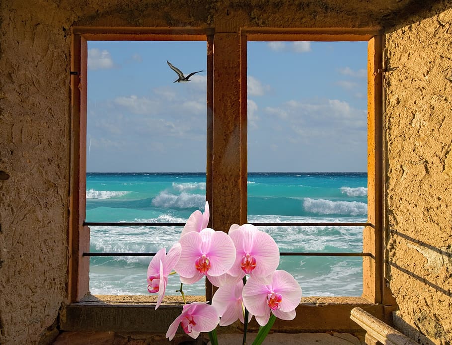 landscape, window, lake, sea, nature, mood, view, scenic, window sill HD wallpaper