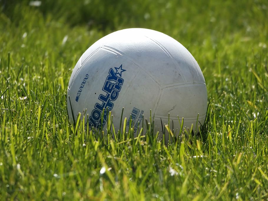 ball, round, grass, green, games, nature, field, garden, spring HD wallpaper