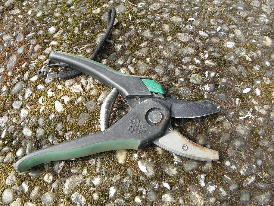 pruner, scissors, thick, cut off, tree, maintain, metal, high angle view HD wallpaper