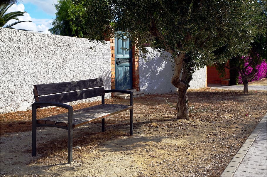 tree, bench wood, plant, nature, day, architecture, seat, built structure HD wallpaper