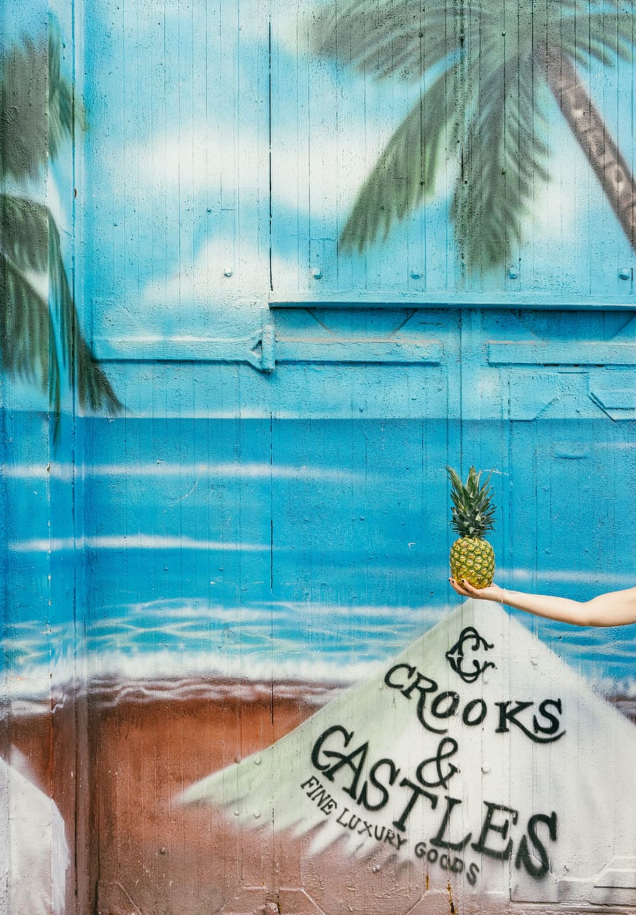 person holding pineapple illustration, dessert, appetizer, fruit HD wallpaper